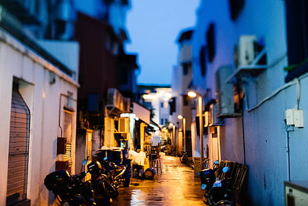 motorcycles parked outside the houses thumbnail
