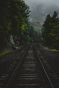 train railway on woods during foggy daytime thumbnail