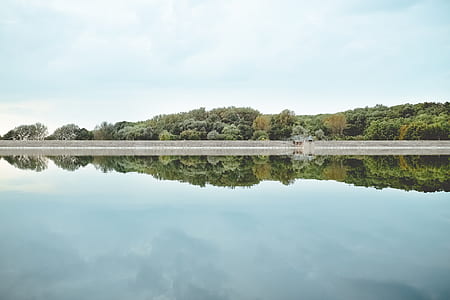 body of water surround by trees during daytime thumbnail