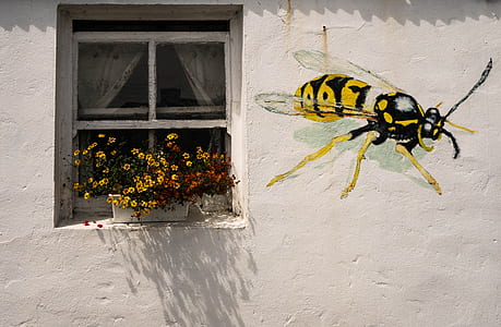 yellow wasp painted wall near glass window during daytime thumbnail