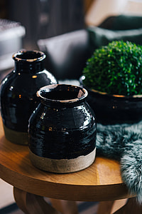 Green plant with black pots and a soft cyan rug thumbnail