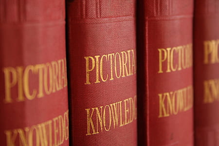 selective focus photography of pile of books thumbnail