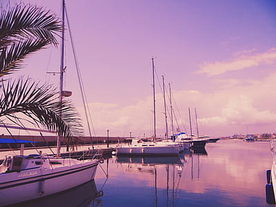 Photo of Sailboats on the Water thumbnail