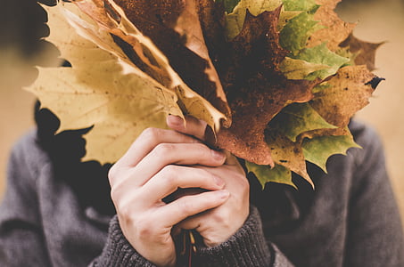 woman holding dried leaves thumbnail