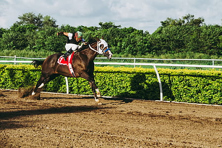 Jockey Riding Horse At Rally thumbnail