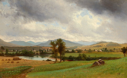 green leafed tree near river under cloudy sky thumbnail