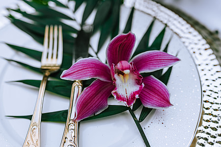 Colorful Exotic Flowers and Greenery thumbnail
