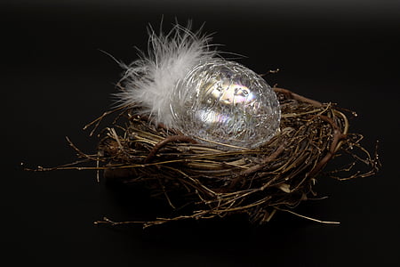easter egg, egg, glass, fragile, feather, white thumbnail