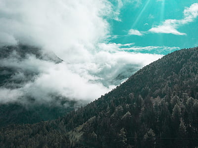 landscape photography of green pine trees and mountain thumbnail