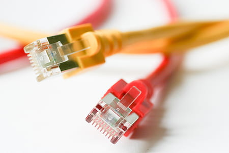 two yellow and red ethernet cables thumbnail