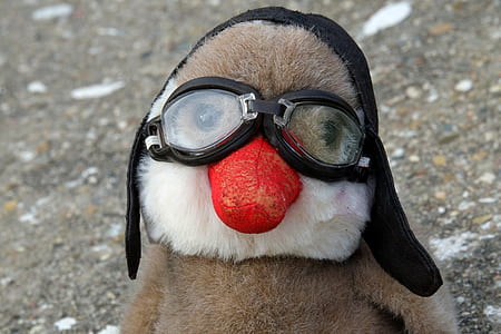 bird plush toy wearing bomber hat thumbnail