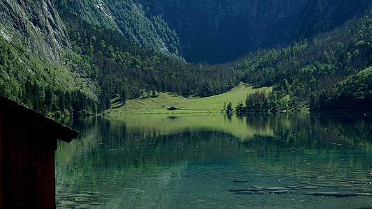 body of water near green trees thumbnail