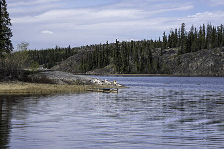 People Sunbathing on the Shore on Prelude Lake, Ingraham Trail thumbnail