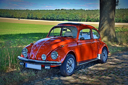 red Volkswagen Beetle coupe parked near brown tree trunk at daytime thumbnail
