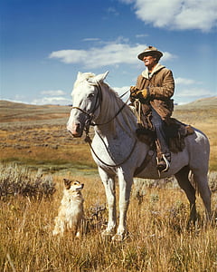man in brown jacket riding on white horse thumbnail