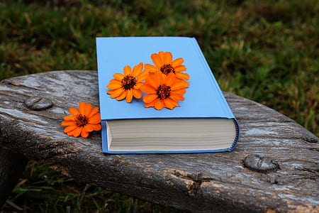 four orange flowers on blue book thumbnail