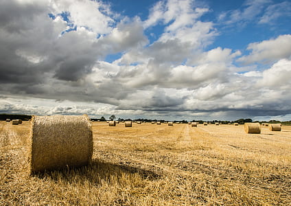 pile of hay under gray sky thumbnail
