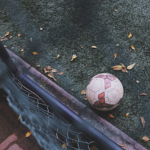 white and brown soccer ball on green grass beside fence thumbnail