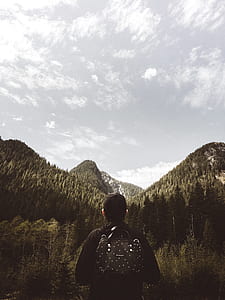 man standing in front of forest near mountain range thumbnail