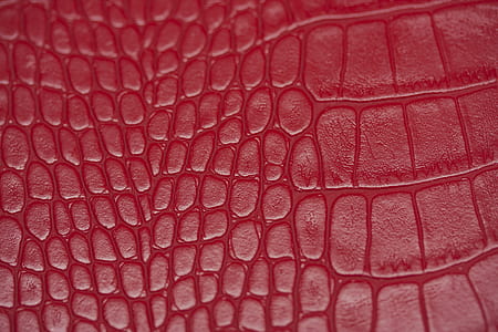 red crocodile-skin leather cuishion thumbnail