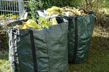 plant leaves on two black bags thumbnail