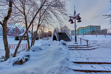 Bridge Near Light Post With Snow and Building at Distance thumbnail