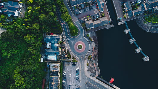 aerial view, tree, harbour, marina thumbnail