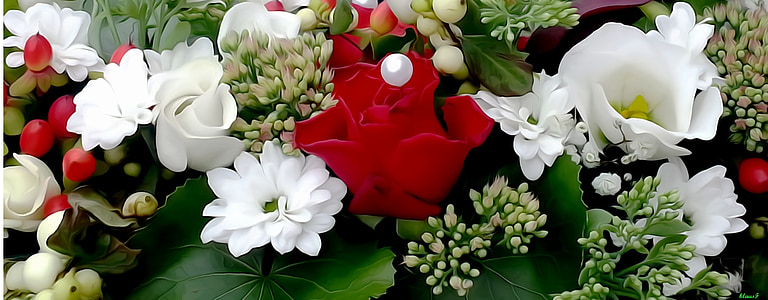 variety of flowers in bloom thumbnail
