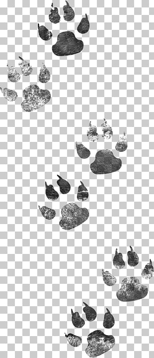 Dog Cat, Dog footprints PNG clipart