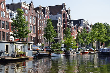 boat on marina with trees and buildings at the distance thumbnail