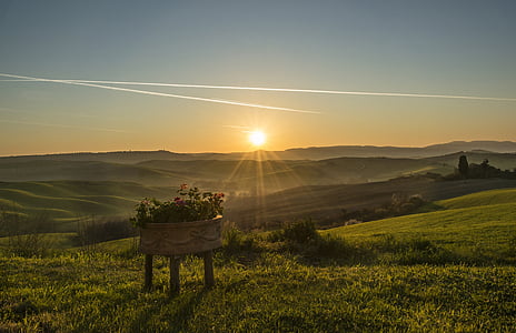 green grass field during sunrise thumbnail