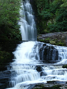 waterfalls surrounded by trees thumbnail