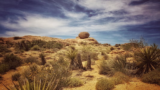 brown rock near green plants during daytime thumbnail