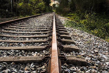 empty railroad in between trees thumbnail