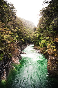 river between green trees at daytime thumbnail