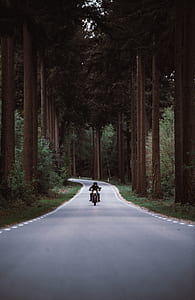 person riding a motorcycle while traveling on gray asphalt road in the middle of trees thumbnail