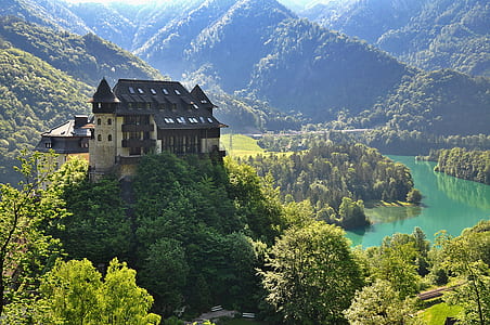 gray castle surrounded by trees thumbnail