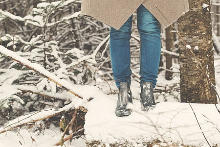 person in forest standing next to tree thumbnail