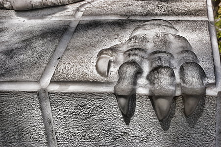 embossed of claw thumbnail