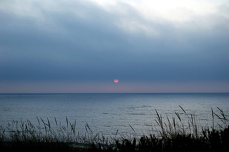 seashore during sunset thumbnail
