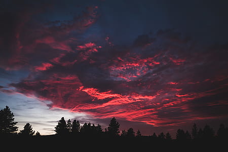silhouette of trees under clouds thumbnail