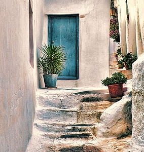 blue close door near green plant thumbnail