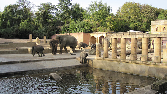 Zoo Hannover, Jungle Palace thumbnail