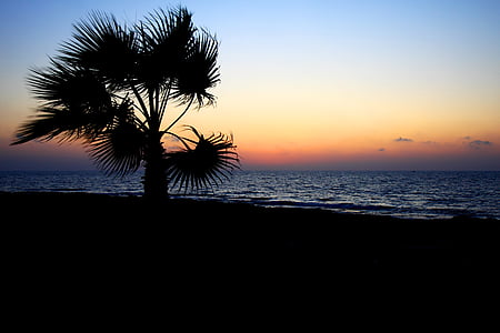 trees in front of body of water thumbnail