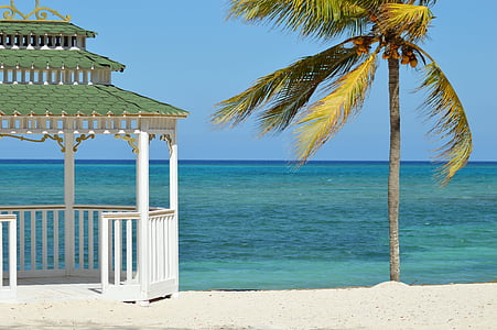 white wooden gazebo near coconut tree thumbnail