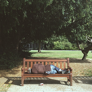 person sleeping on bench near tree thumbnail