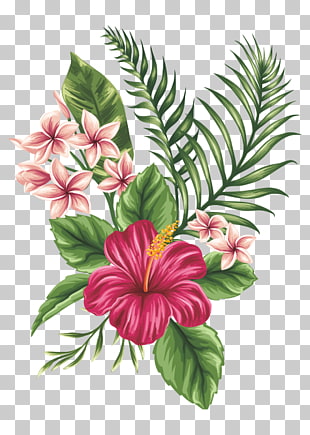Drawing Flower Sketch, Hand-painted flowers, red hibiscus flower painting PNG clipart