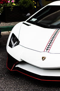 white sports car near green leafed plant thumbnail