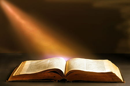 close-up of book thumbnail