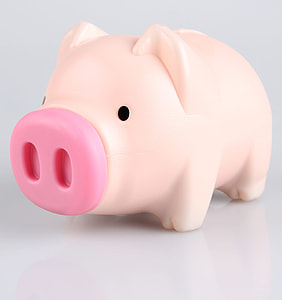 pink pig toy closeup photo thumbnail